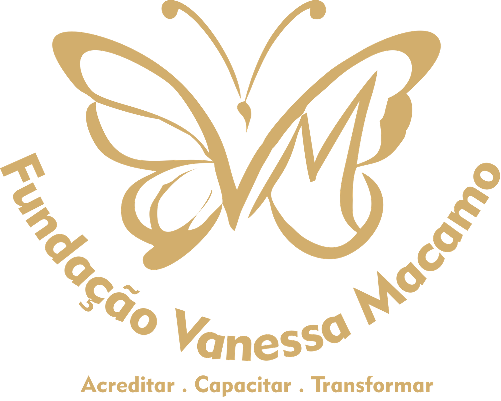 Logotipo FVM
